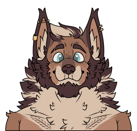 Symmetrical Bust $15